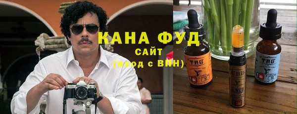 мдпв Богородицк