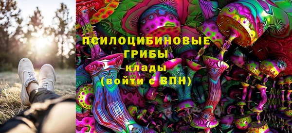 мдпв Богородицк